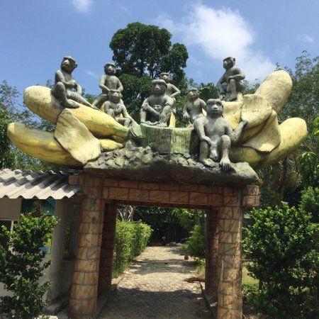 Monkey Training Center